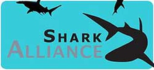 Shark Alliance