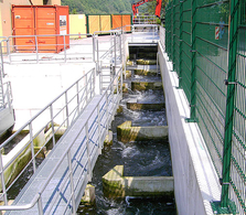 Fischtreppe am Hengsteysee