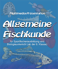 CD "Allgemeine Fischkunde"