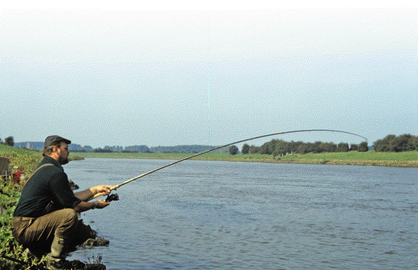 Gute Kämpfer: Angler lieben Barben vor allem deshalb, weil sie so rasante Drills liefern. Roland bändigt hier einen Fisch aus der Weser.