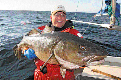 So sieht ein 60-Pfünder aus! Mathias Fuhrmann mit 31-Kilo-Dorsch, den ein Berufsfischer gefangen hat.