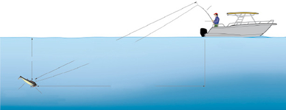 So funktioniert‘s: Der Gummifisch am Giant Jighead wird mit drei Kilometern pro Stunde recht langsam geschleppt. Soll er, wie in diesem Fall, in rund 30 Metern Tiefe laufen, muss der Anglerdafür etwa 80 bis 100 Meter Schnur rauslassen.