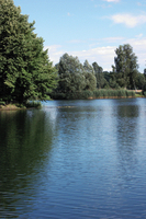 Kleinere Seen mit starkem Pflanzenwuchs sind typische Schleiengewässer.
