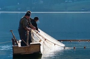 Traditionelle Seefischerei am Grundlsee. Bild: ÖBf-Archiv/W. Simlinger