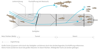 Selektiv nach Fischgrößen fangendes Netz: Bild: Thünen-Institut/Annemarie Schütz