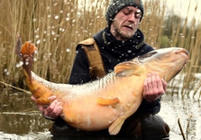 Was für ein Fisch zum Saisonstart: 28,9 brachte der niederländische Spiegler von Michael Nürenberg auf die Waage. Bilder: Korda