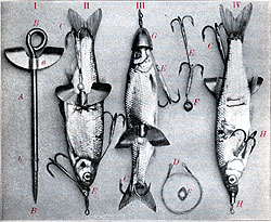 Heute leider vergessen: Der „Röhrchenspinner“ von Dr. Heintz und Jakob Wieland ließ sich auf die verschiedensten Arten mit einem toten Köderfisch bestücken.