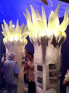 Korallen-Ausstellung