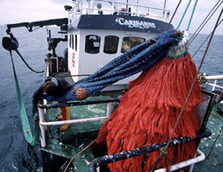 Fischtrawler auf der Nordsee